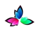 sadaf fevicon (3)